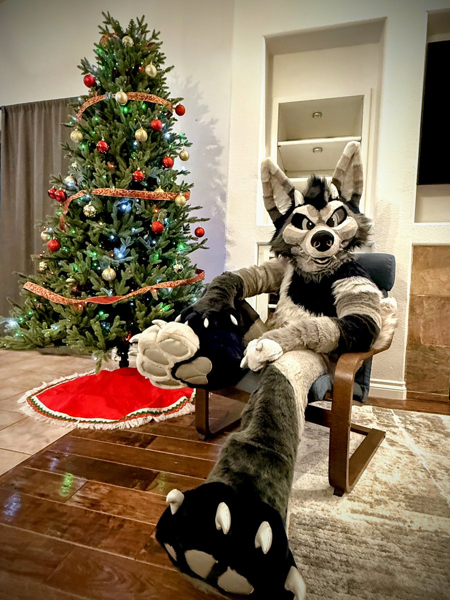 Seasons greetings  🐾

📸 <a href="/husky_mint/">Minty Husky</a>