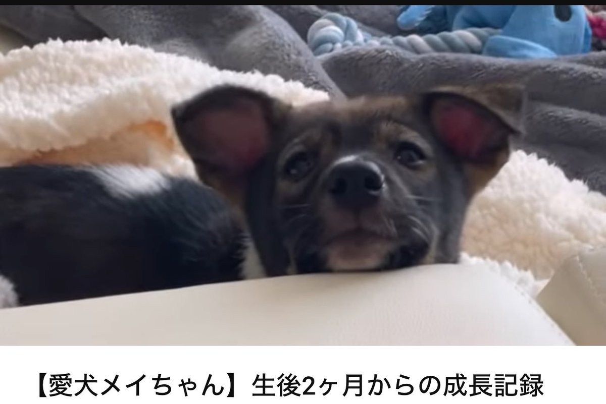 YouTubeみやぞんチャンネル！ 今アップしてますのて是非見て頂けたら