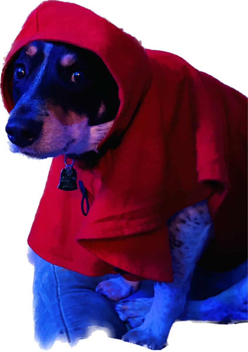 weekendateffys's tweet image. 🎄🐕🎉 
Patreon holiday sale!
Till January 1st all monthly and annual subscriptions are deeply discounted!