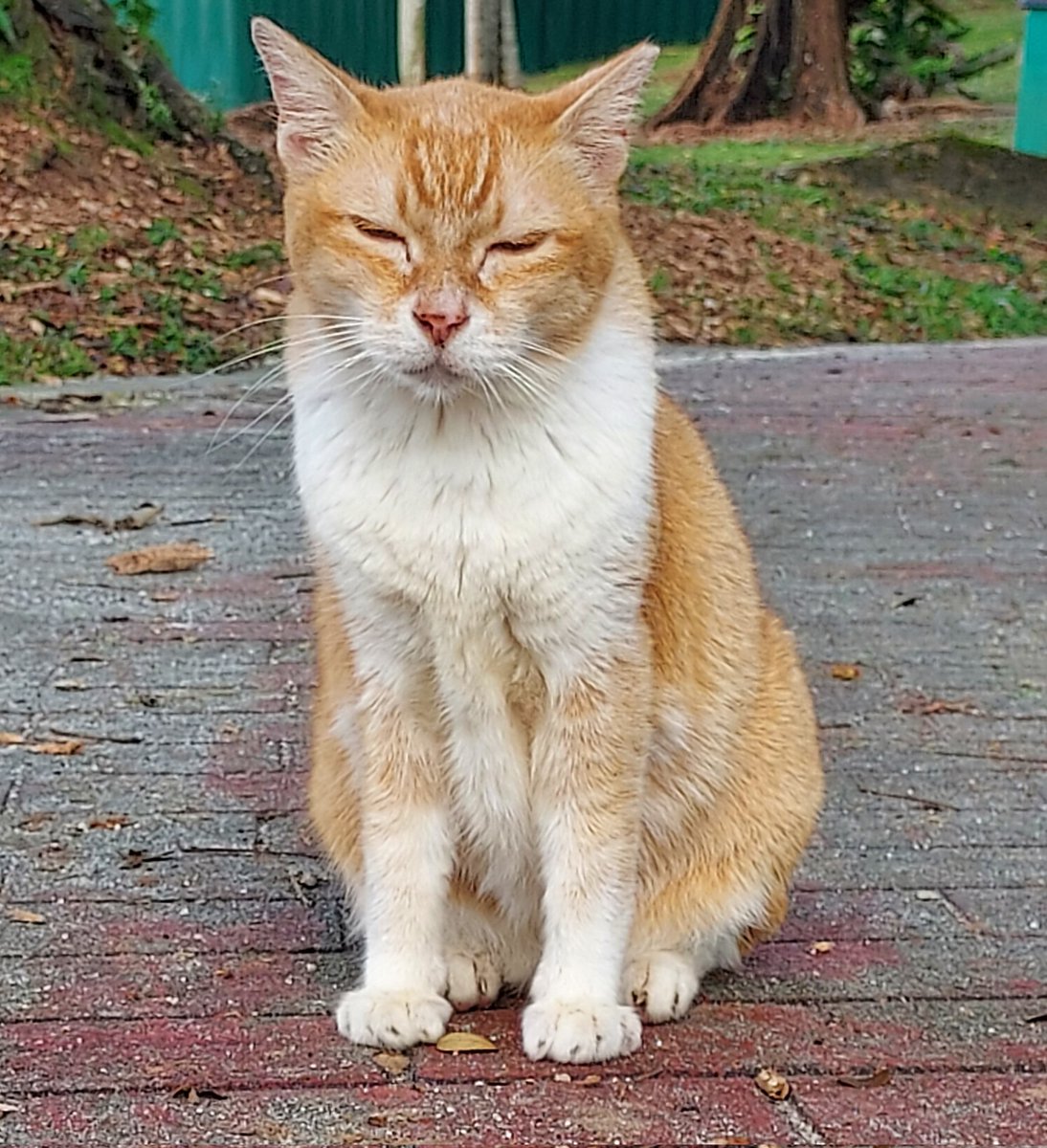 Mondae morming eeepy...