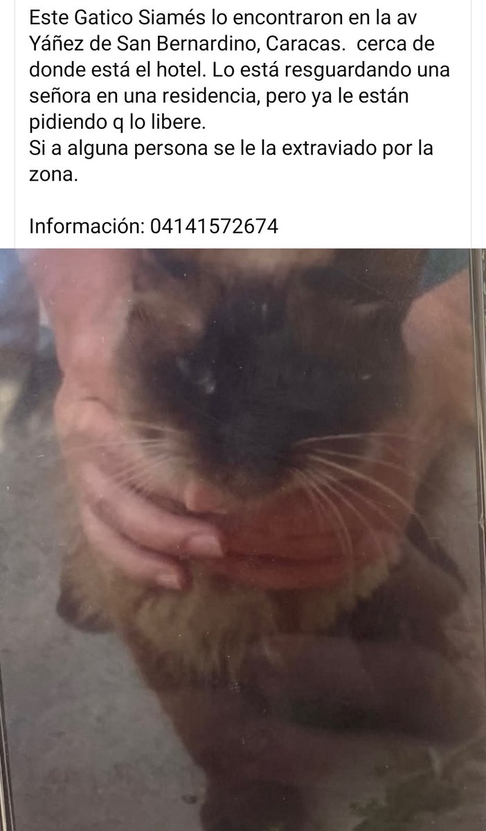 Se presume está EXTRAVIADO, San Bernardino Caracas