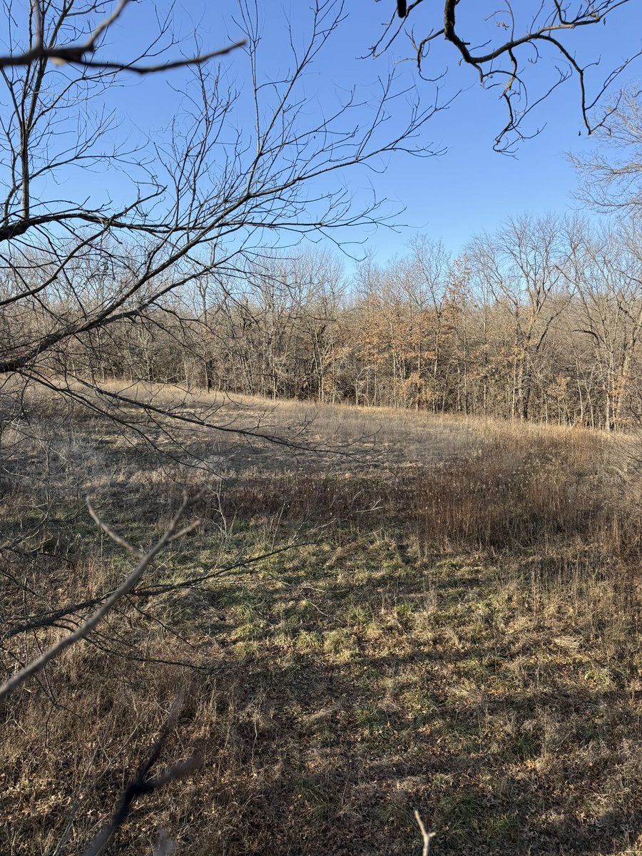 Finally got out today.  Pushed a lot of deer out of this spot but have never hunted it.  Weather isn’t that favorable but hopefully will see some movement at the end of daylight.