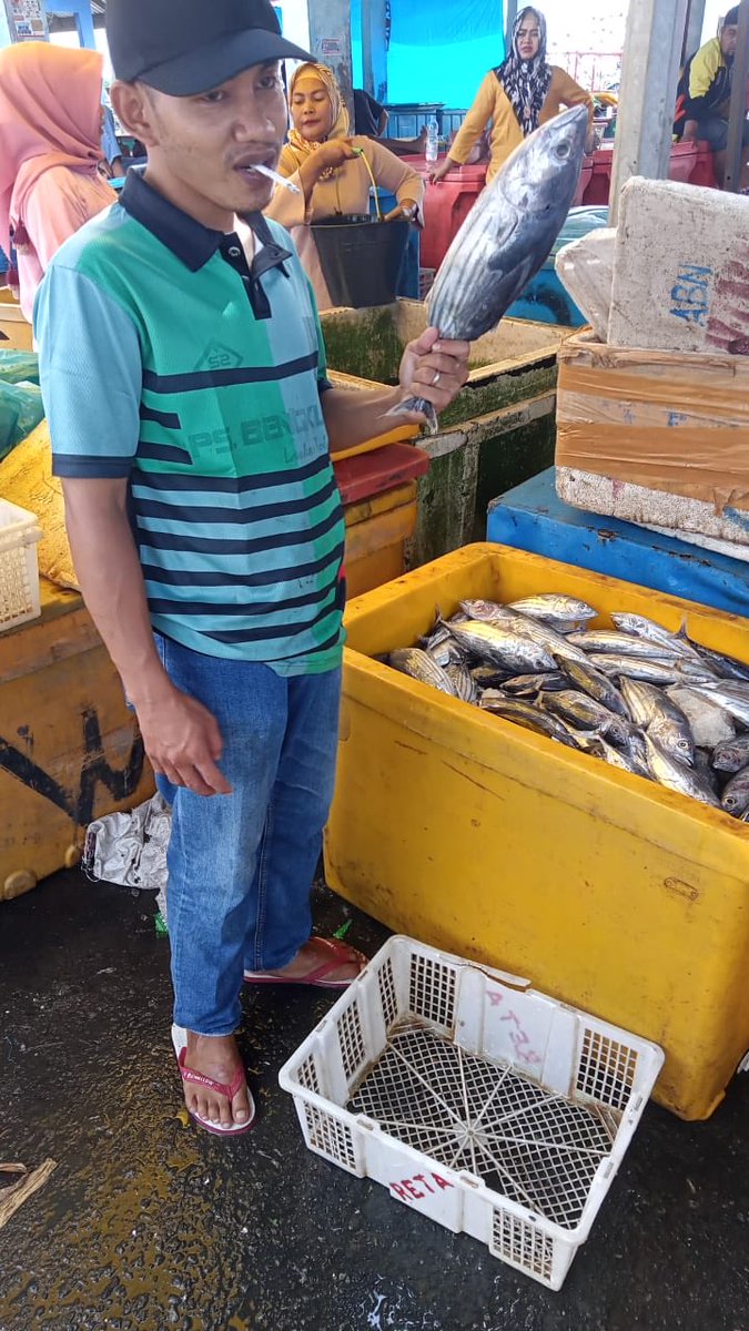 surahman00's tweet photo. Kamis 5-12-2024 Luhkan Kota Bengkulu melaporkan hasil tangkapan ikan Anggota KUB Fada Idi An.Mading ikan belato sebanyak 70 kg
#GiatLuhkanBRPPUPPPalembang 
#LuhLapor
#Produksi https://t.co/rBcH3NjJJd