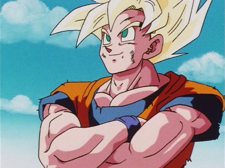 Dragon Ball Perfect Shots (@dbperfectshots) on Twitter photo 