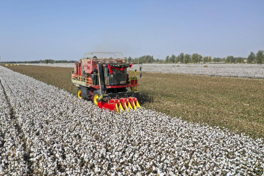 XHNews's tweet photo. More in the international community have cast doubts over the Western sanctions against China's Xinjiang, as the sanctions use the pretext of "forced labor" to force legally operating companies to shut down, resulting in the layoffs of Uygur workers https://t.co/K9lApw9Tui https://t.co/1jTtLFhcnL