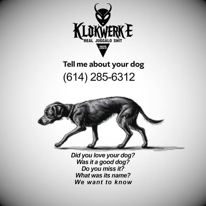 Call in tell us how much you miss your Dawg!!