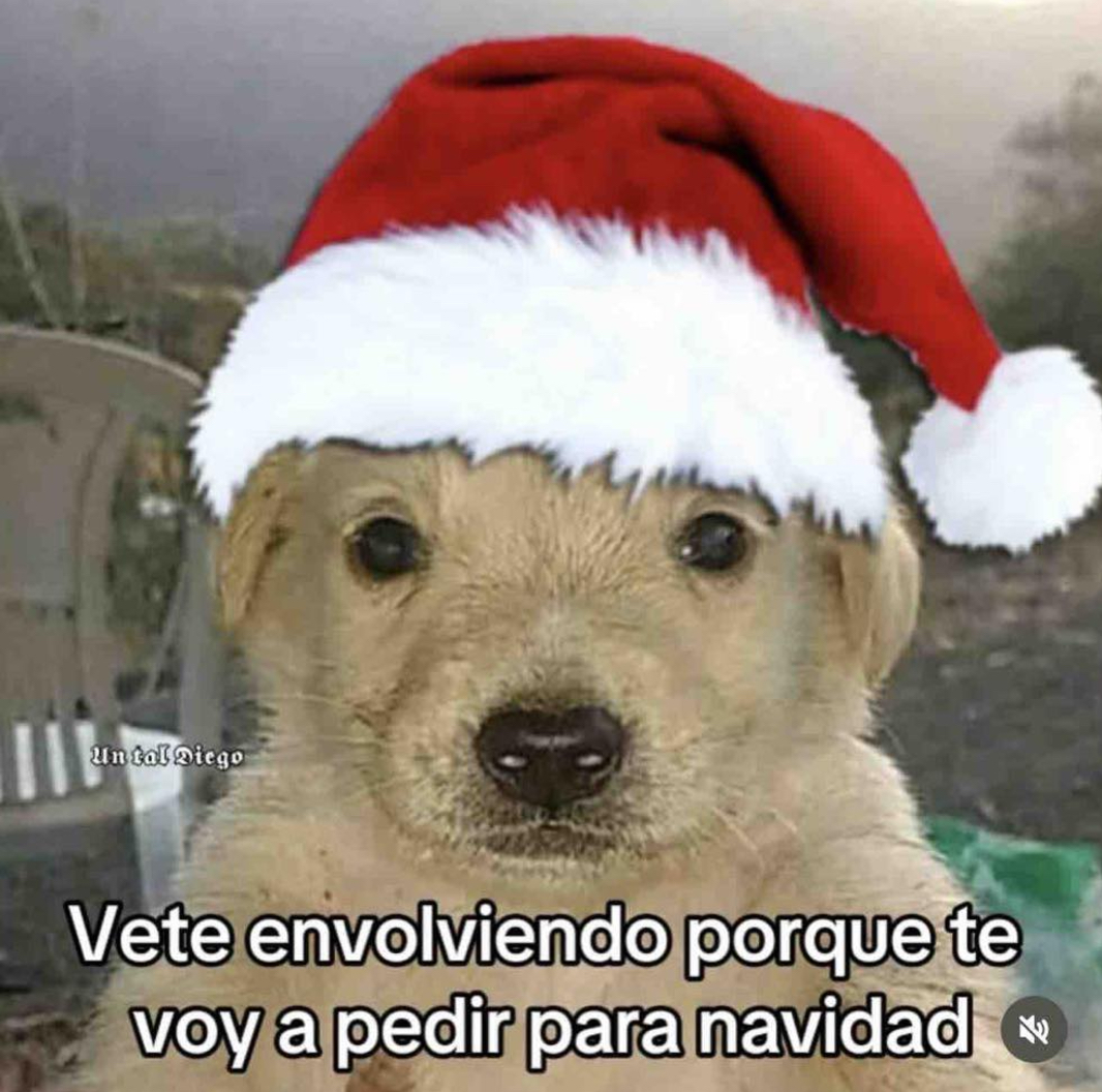 Guarromantico_'s tweet photo. Pero en fa! https://t.co/3UBQ3Jmw8m