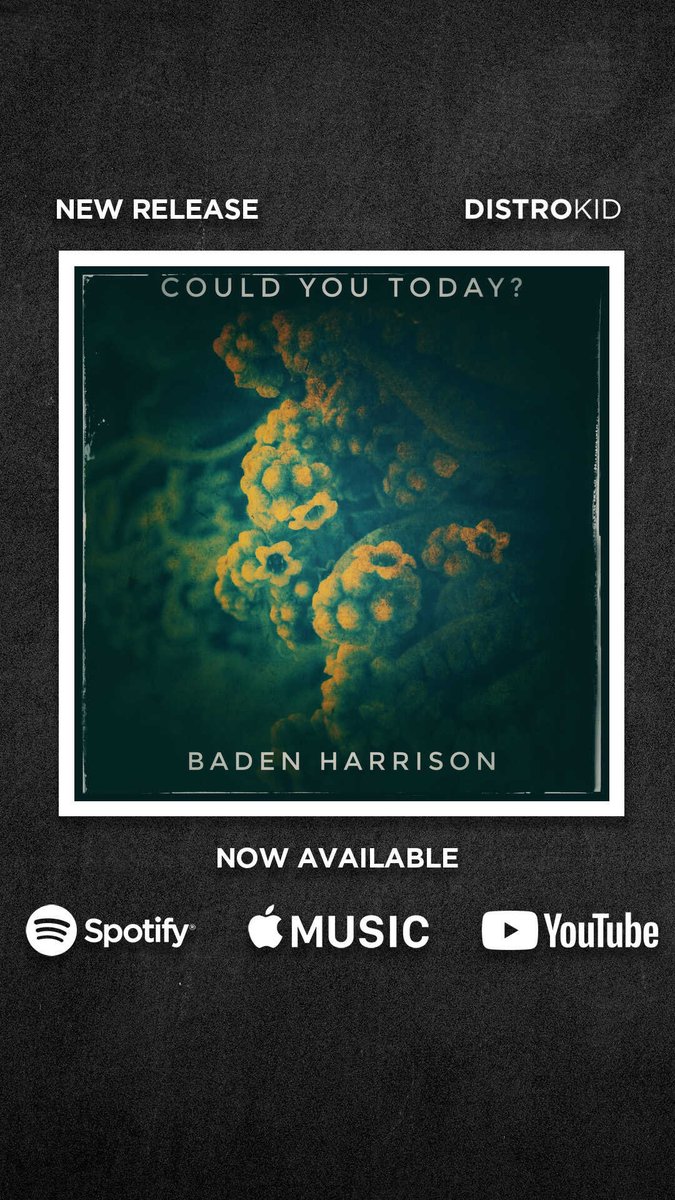 Baden Harrison (@badenh) on Twitter photo 