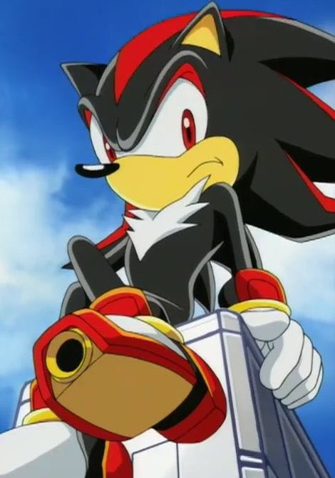 hearts2shadow's tweet photo. He sits very politely :) https://t.co/cp3CAbCfid