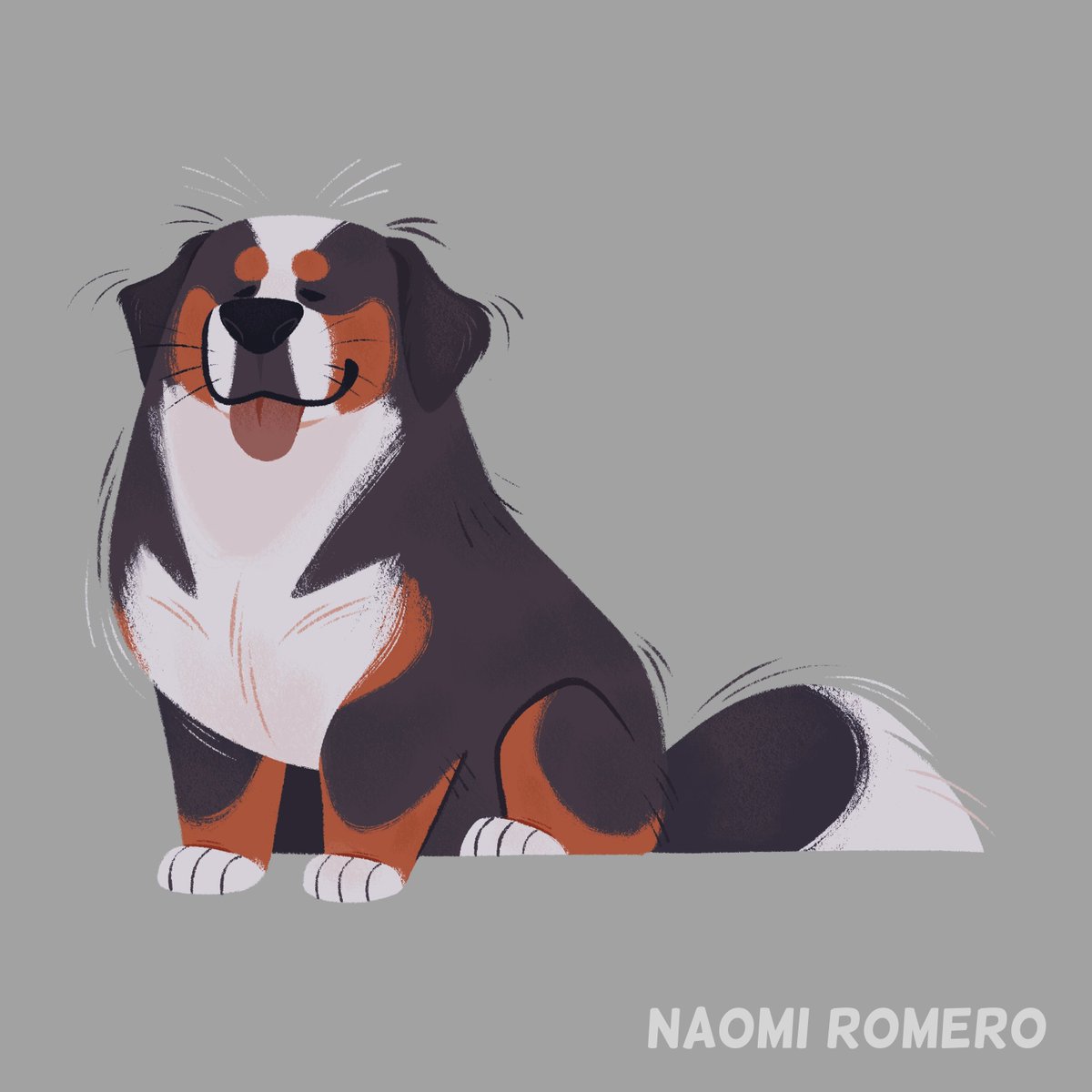 I love Bernese Mountain Dogs!