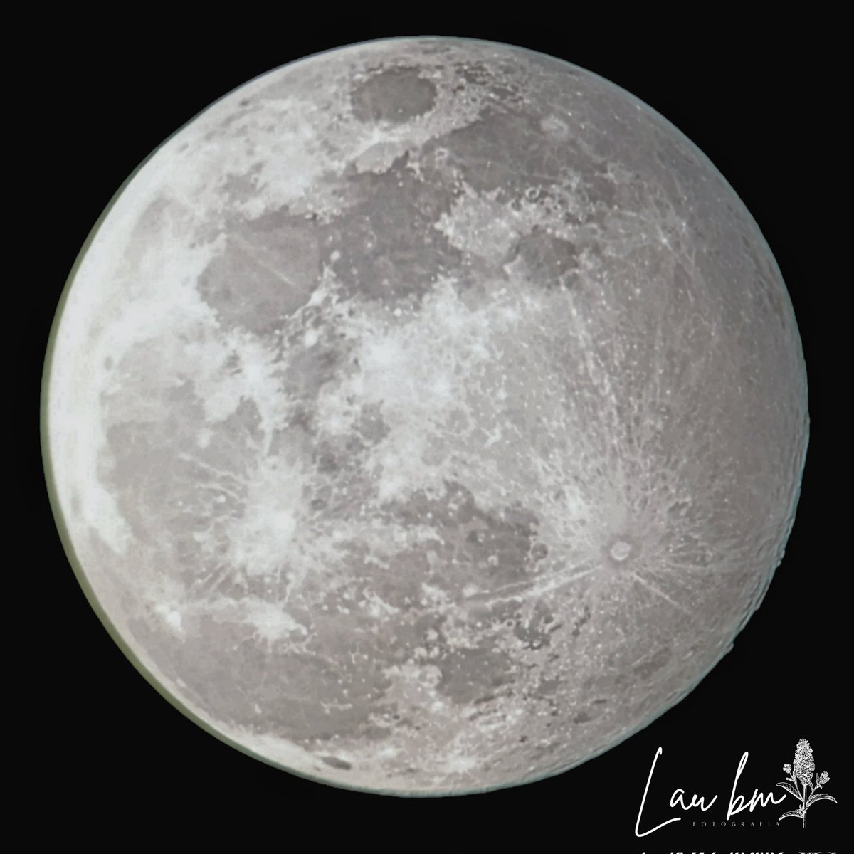laubm1990's tweet photo. • ÚLTIMA LUNA LLENA DEL AÑO • 🌕✨
| 15 de Diciembre de 2024 |
Última Luna llena del año a 374,606.40 km. ubicada entre las Constelaciones Gemini y Auriga.

Hora: 08:17pm.
Fecha: 15/12/2024
#photooftheday #luna #moon #lunallena #fullmoon https://t.co/OKGvfQb6R9