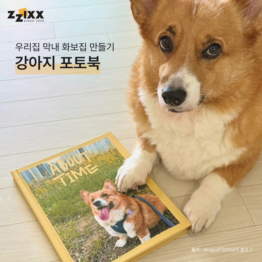 zzixx_com's tweet photo. 전국 우리집 막내 자랑📢📢📢
물오른 우리 강아지,
이 귀여움 평~~생! 남아 있을 수 있도록
포토북 한 권에 담아보세요.

연예견 부럽지 않은
우리집 스타견 화보집 완성!

트루포토북 앱 다운로드
▶ https://t.co/3FOlsFytkP https://t.co/EoywdPNL29