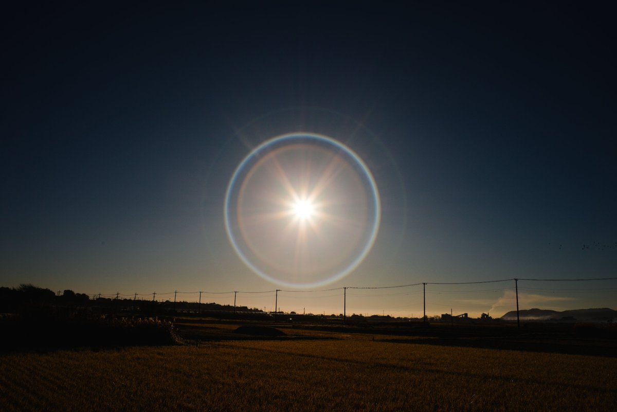 tune_h's tweet image. タクマーさんぽ＠サークルゴースト遊び
#α7ii 
#takumar 
#smctakumar28mmf35