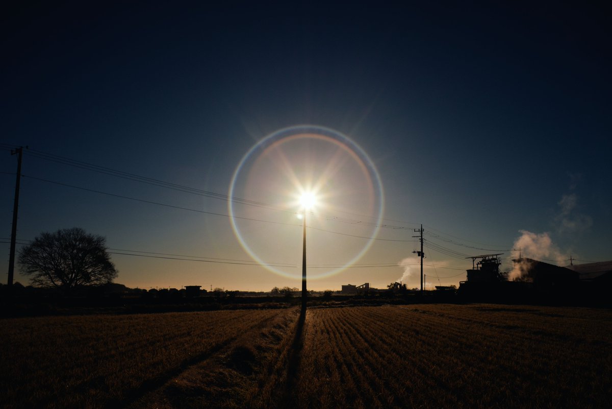 tune_h's tweet image. タクマーさんぽ＠サークルゴースト遊び
#α7ii 
#takumar 
#smctakumar28mmf35