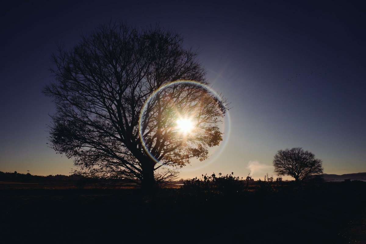 tune_h's tweet image. タクマーさんぽ＠サークルゴースト遊び
#α7ii 
#takumar 
#smctakumar28mmf35