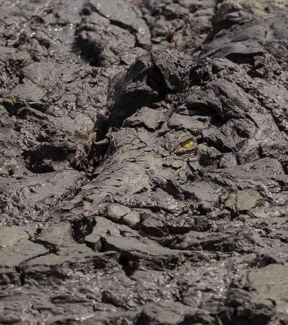 I couldn’t even see him