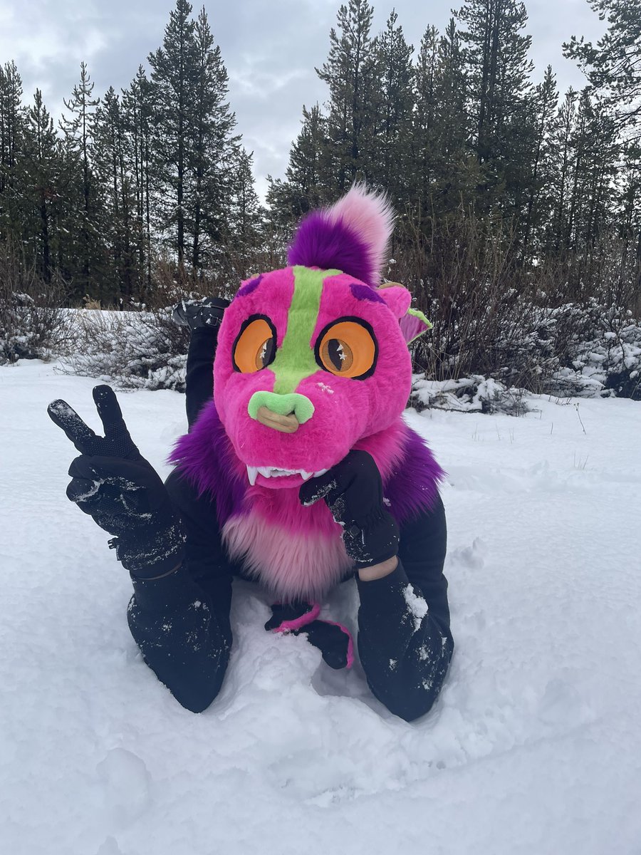 Good little snow dayyyy!!! 

<a href="/saltyneo/">Saltyneo</a> 📸
#furry #snow #kangaroos