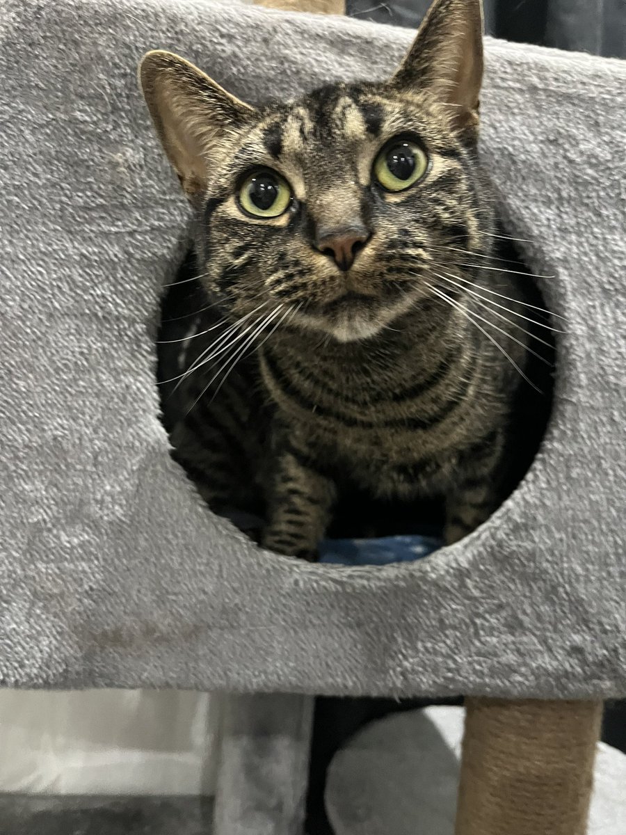 We about to sell feet pics