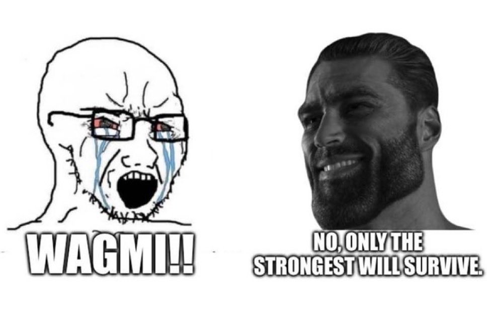 hahahhaha i still can’t stop laughing at CT thinking PvE meants everyone on CT buying the same coin instead of everyone buying retail friendly coins

$GIGA = retail’s favorite meme (not closeg
