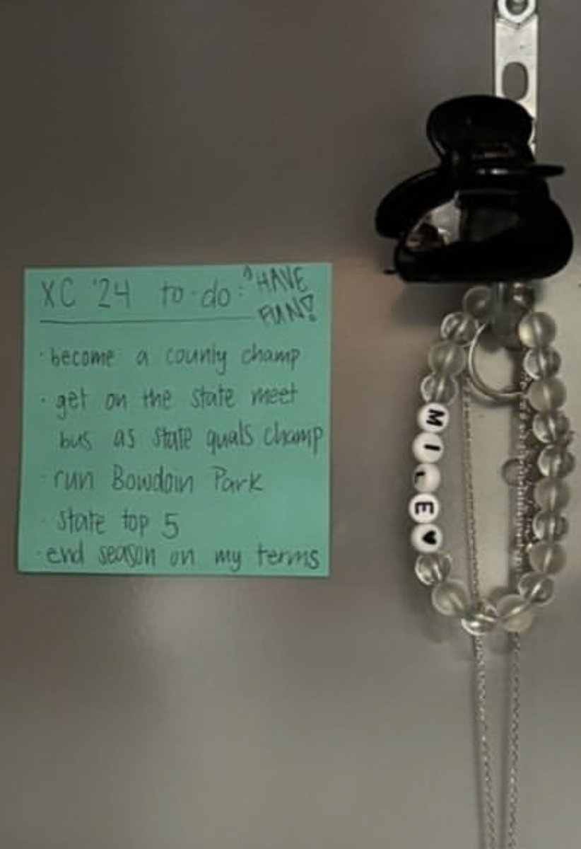 So proud of Aislinn!  She persevered, worked her butt off, wrote down her goals and achieved so much this XC season!  Newsday All Long Island and Nassau Runner of the Year!  Note the most important thing on her goals - Have Fun!