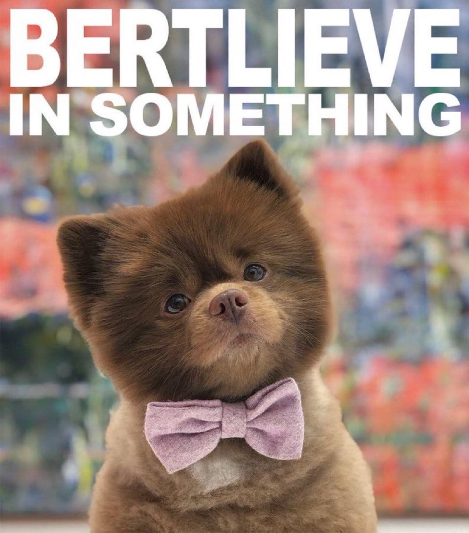 <a href="/okx/">OKX</a> It would be an even more amazing day for people if you got $bert onboard! <a href="/bertcoincto/">Bert 🧸 🐶</a> jusss saying 🤭😁
Handsome and bullish. Strong community - >27k holders. Wintermute is our MM. Big KOLs supporting. Partnership with <a href="/flooz_xyz/">The Vibe Trading App by Flooz</a>
Partnered with animal charities to help provide