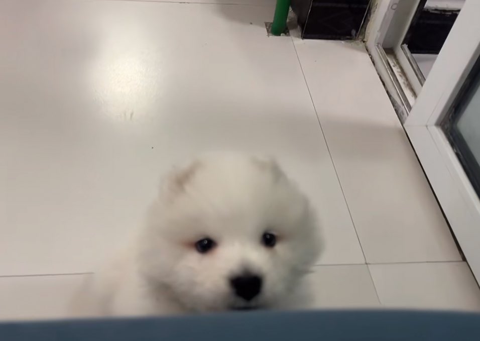 มีจุ้บให้ผม สัก นอย ไม คับ