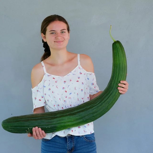 Mom’s Christmas cards are lit.