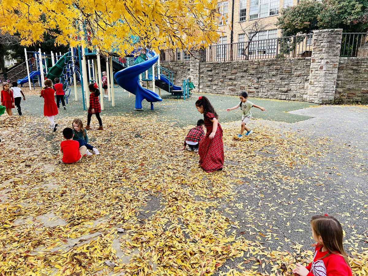 LBClaytonFWISD's tweet image. Sweet Lily B kindergarteners enjoyed some fun in the fallen leaves today at recess! #sweetlilybees #kindergarten #recessfun @todd_koppes @MsReedAP @APMontoyaFWISD @FortWorthISD