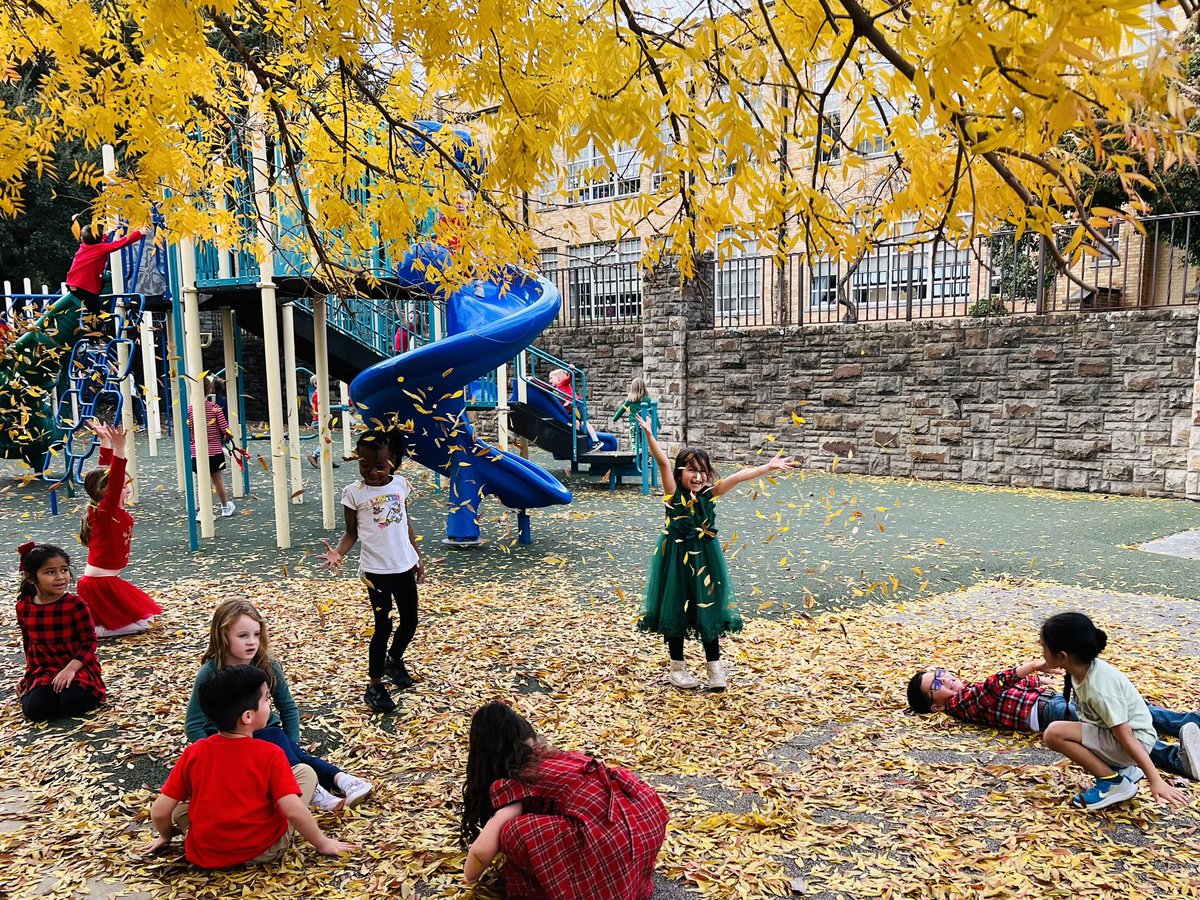 LBClaytonFWISD's tweet image. Sweet Lily B kindergarteners enjoyed some fun in the fallen leaves today at recess! #sweetlilybees #kindergarten #recessfun @todd_koppes @MsReedAP @APMontoyaFWISD @FortWorthISD