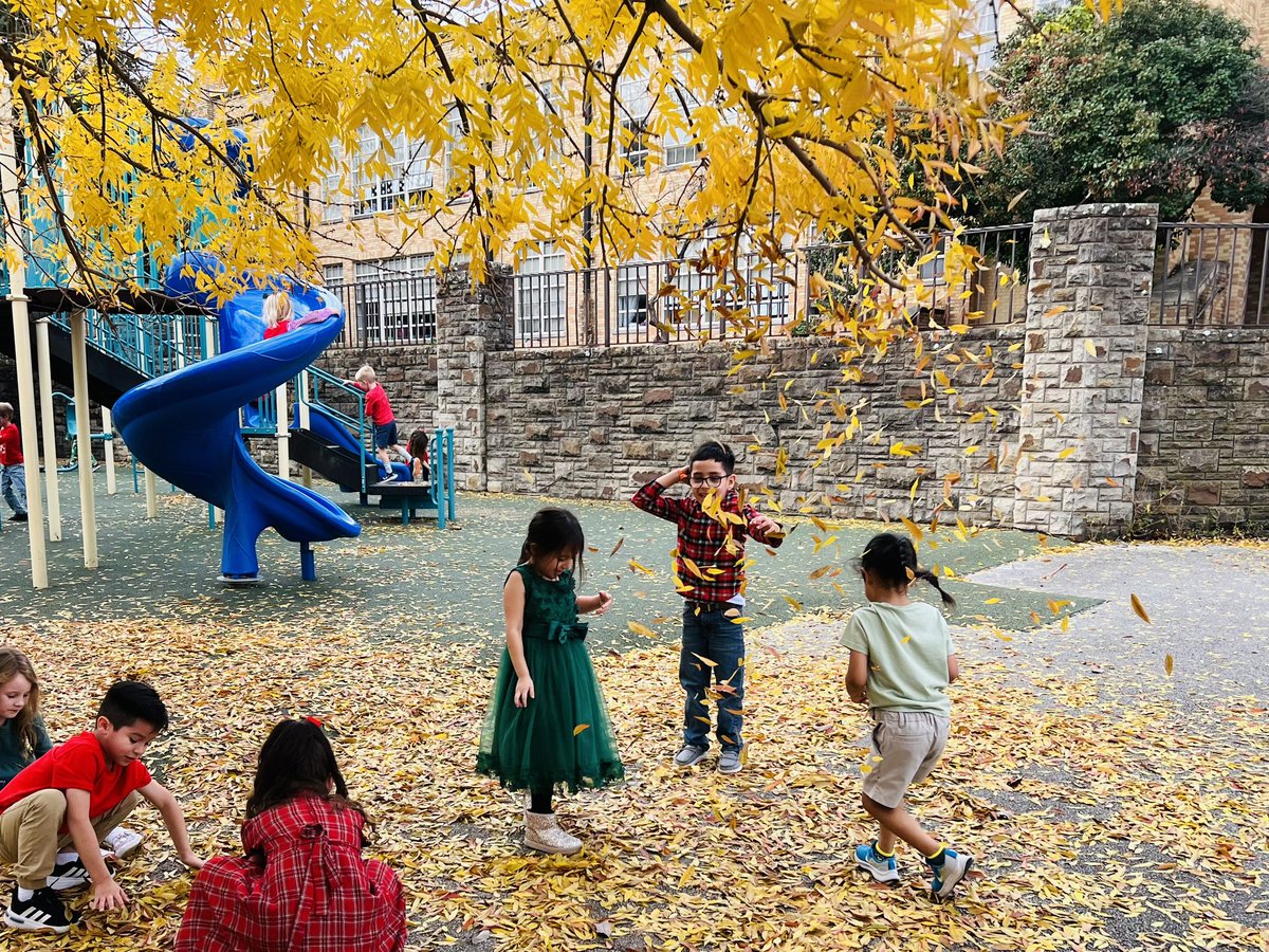 LBClaytonFWISD's tweet image. Sweet Lily B kindergarteners enjoyed some fun in the fallen leaves today at recess! #sweetlilybees #kindergarten #recessfun @todd_koppes @MsReedAP @APMontoyaFWISD @FortWorthISD