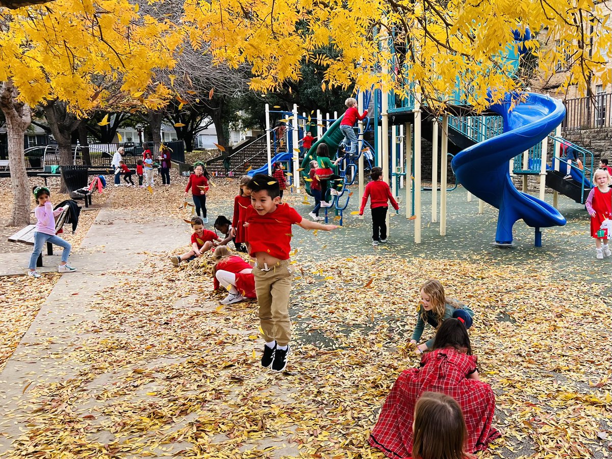 LBClaytonFWISD's tweet image. Sweet Lily B kindergarteners enjoyed some fun in the fallen leaves today at recess! #sweetlilybees #kindergarten #recessfun @todd_koppes @MsReedAP @APMontoyaFWISD @FortWorthISD
