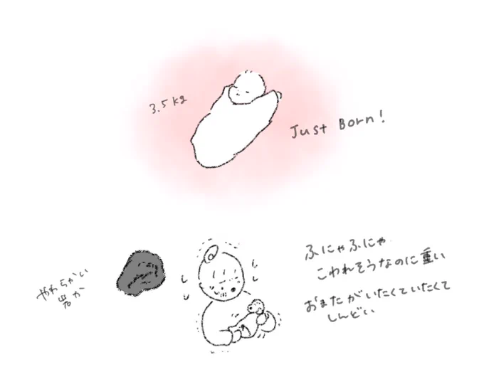 長男を産んだ翌日のぼろぼろの身体には3500gの赤子はとても重かった
それに反して助産師さんがかろやかに、ひょいっと赤子を持ち上げたあの光景を忘れられない 