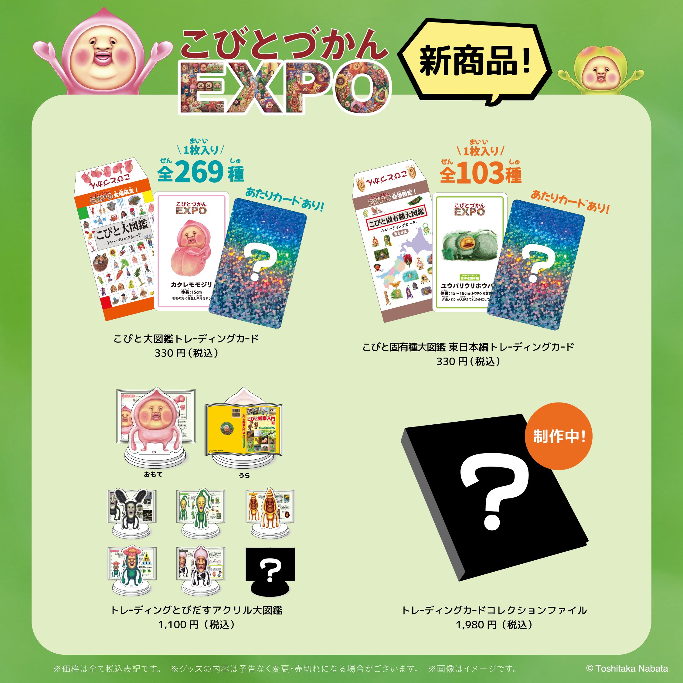 こびとづかん公式📚🌿 on X: 