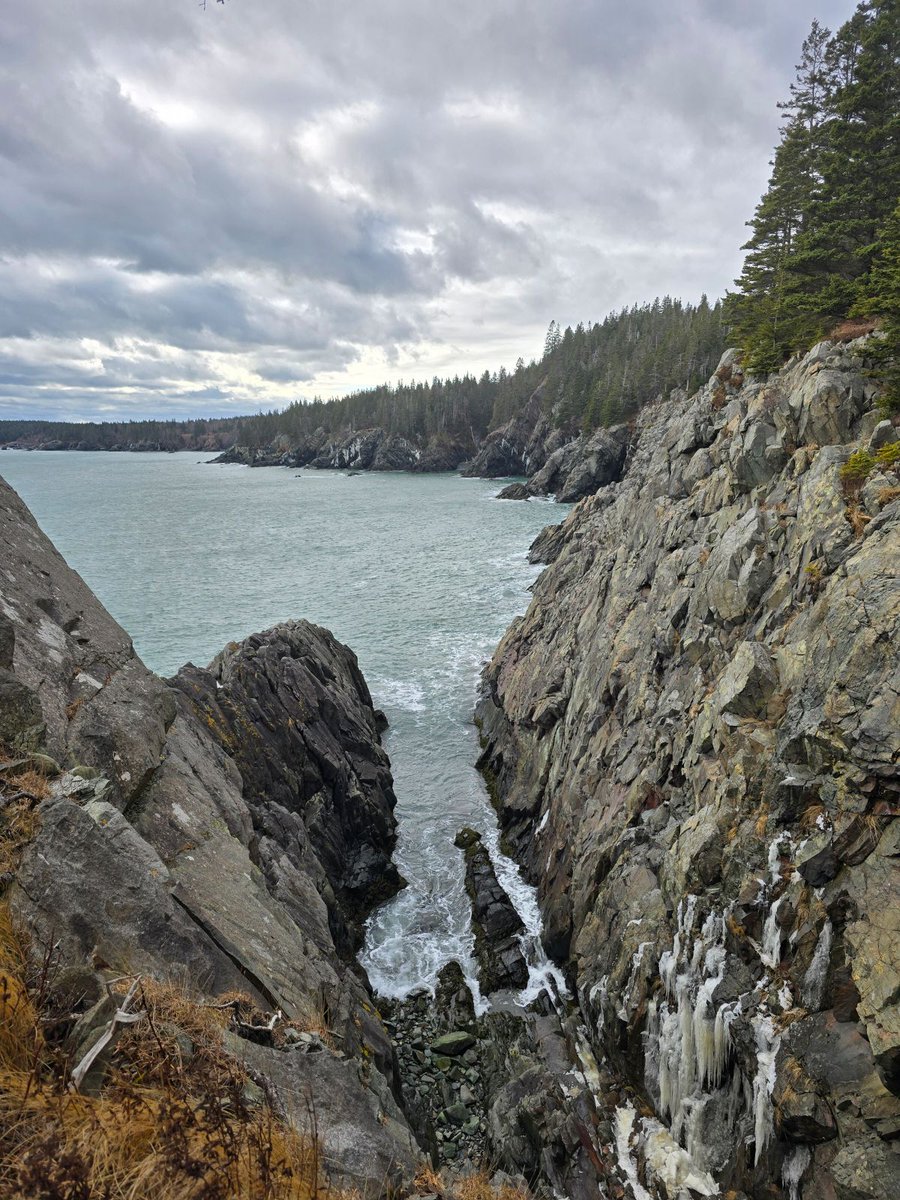 GSn04401's tweet image. Today's #adventureday brought us back to one of our favorites...Cutler Reserve Public Land. Mild temps made for a nice hike to the cliffs overlooking the ocean. #getoutside #cutlerrpl #mainethings