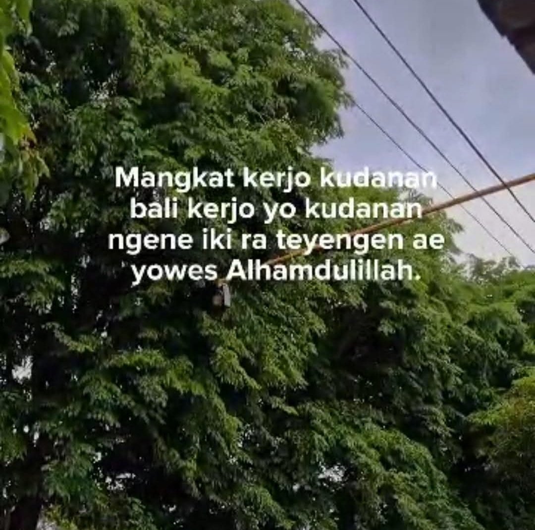 ▁ ▂ ▃ ▄ ▅ ▆ ▇ █ ▉ ▊ (@coffebit) on Twitter photo 