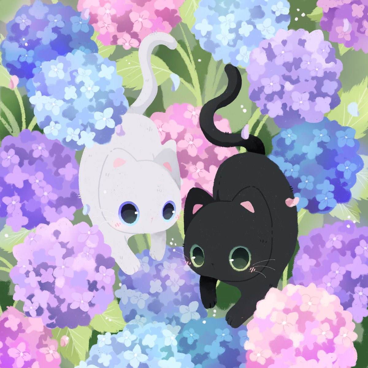 Just Some kitties 🩵💚