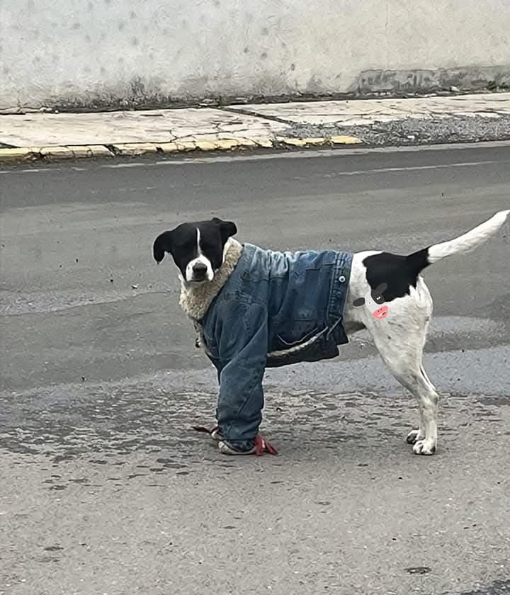 เมื่อครู่พี่เท่รึไม่