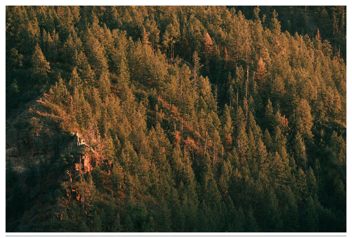 ShakurStill's tweet photo. some of my all time landscapes https://t.co/vr5tqxoBoW