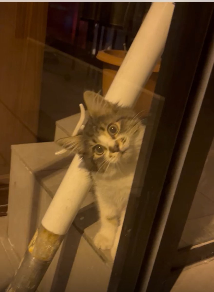 Ataşehir de üç aylık. Çalıştığı muhallebici kapandığı için home office iş arıyor.