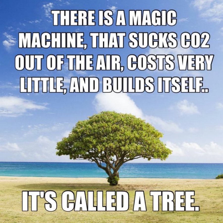 Everything/Nature;Recycles itself the water evaporates then rains back in
rivers/We use it-&amp;-the ocean salt
purifies it
The trees/grass take in the carbon dioxide and release the oxygen, the food grows from the ground and it reproduces every year grains, fruits
vegetables,Etc
