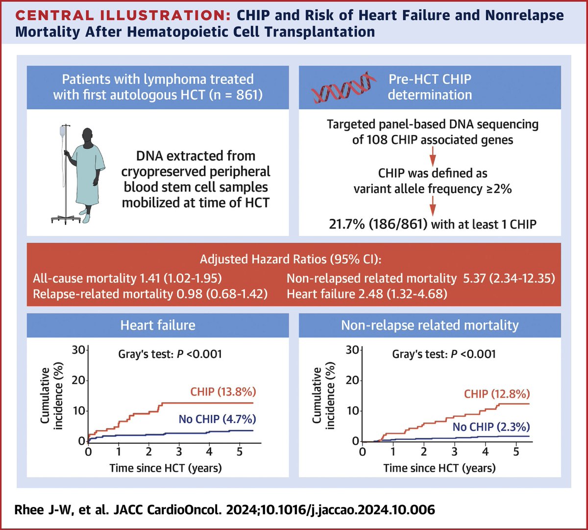 June Rhee (@junewrhee) on Twitter photo Our #CHIP journey continues! CHIP was highly prevalent (21.7%) among patients with lymphoma undergoing HCT & associated w/ 2.5x risk of HF and 5.4x risk of non-relapse mortality! Grateful for the leadership by <a href="/ArmenianSaro/">Saro Armenian</a> and all co-authors! <a href="/ArtOganes/">Artem Oganesyan, MD</a> <a href="/pnatarajanmd/">Pradeep Natarajan</a> Our #CHIP journey continues! CHIP was highly prevalent (21.7%) among patients with lymphoma undergoing HCT & associated w/ 2.5x risk of HF and 5.4x risk of non-relapse mortality! Grateful for the leadership by <a href="/ArmenianSaro/">Saro Armenian</a> and all co-authors! <a href="/ArtOganes/">Artem Oganesyan, MD</a> <a href="/pnatarajanmd/">Pradeep Natarajan</a>