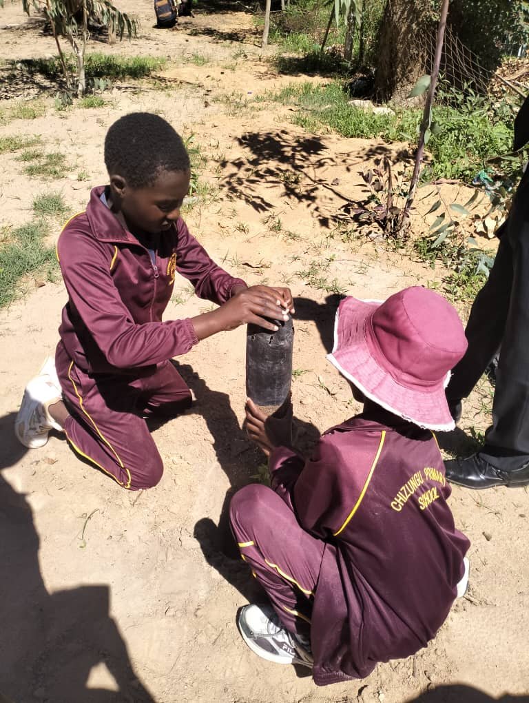 TreeKnowers's tweet image. Here are some lovely pictures from our tree planting and replacement event at Chizungu Primary School in Epworth.Together, with the children and staff at the school, we planted around 100 indigenous trees donated by Trees for Harare at the site !
@USEmbZim 
@theGCF
