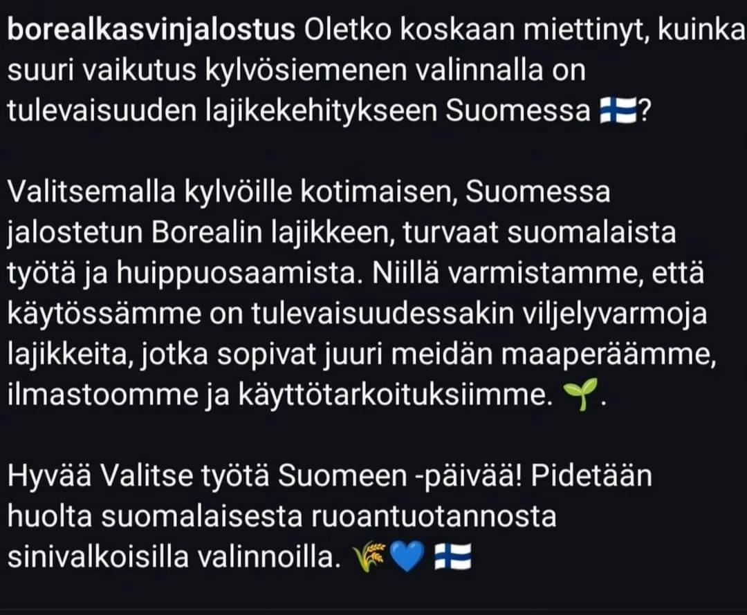 Valitsemalla kylvöille kotimaista,  Suomessa jalostettua @borealkasvinjalostus lajiketta,  turvaat suomalaista työtä 🇫🇮

Hyvää Valitse työtä Suomeen -päivää. 🌾💙🤍

#yhdessä
#yhteistyöloikka 
#suomalainenkumppani
#huoltovarmuus