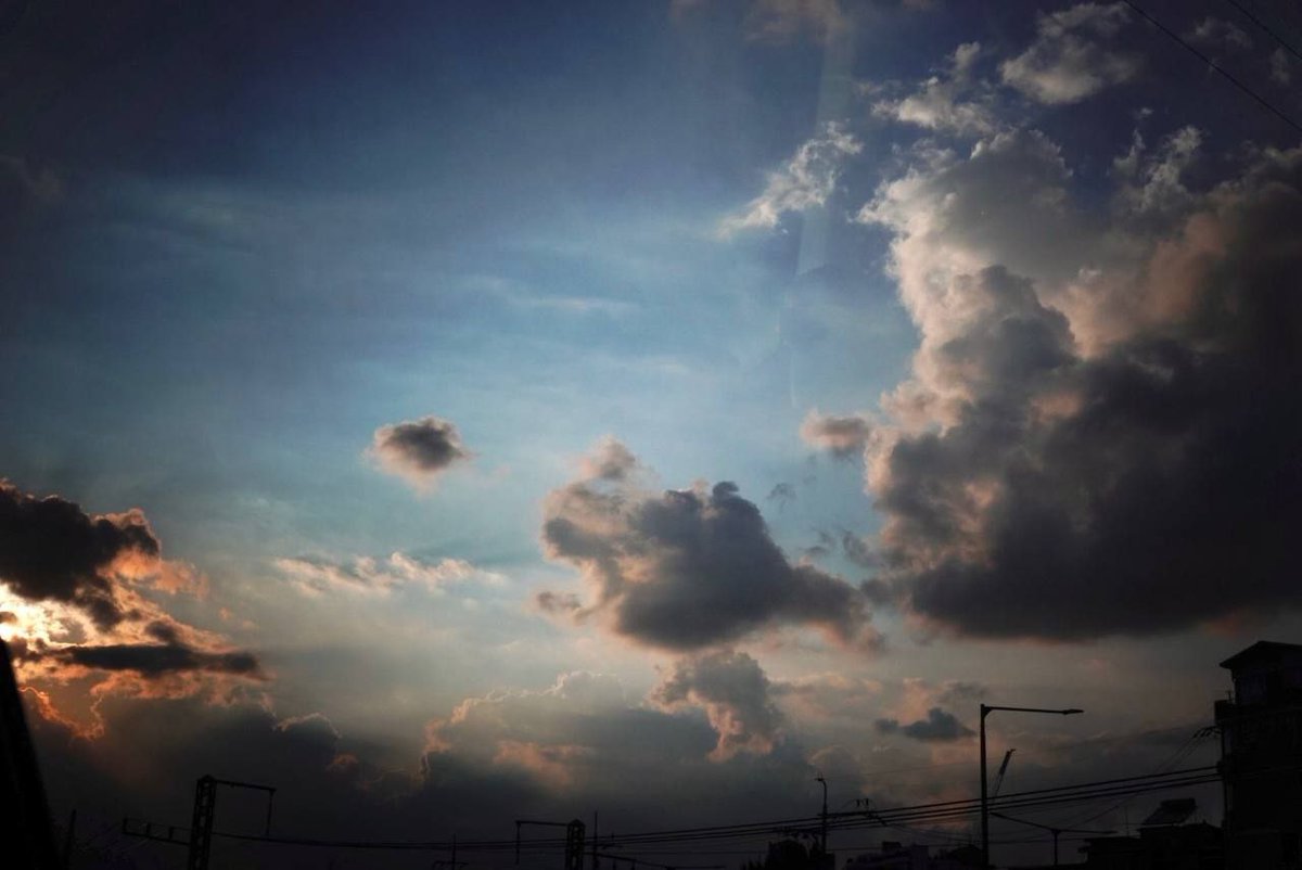 ✿ pace dwn tweet media