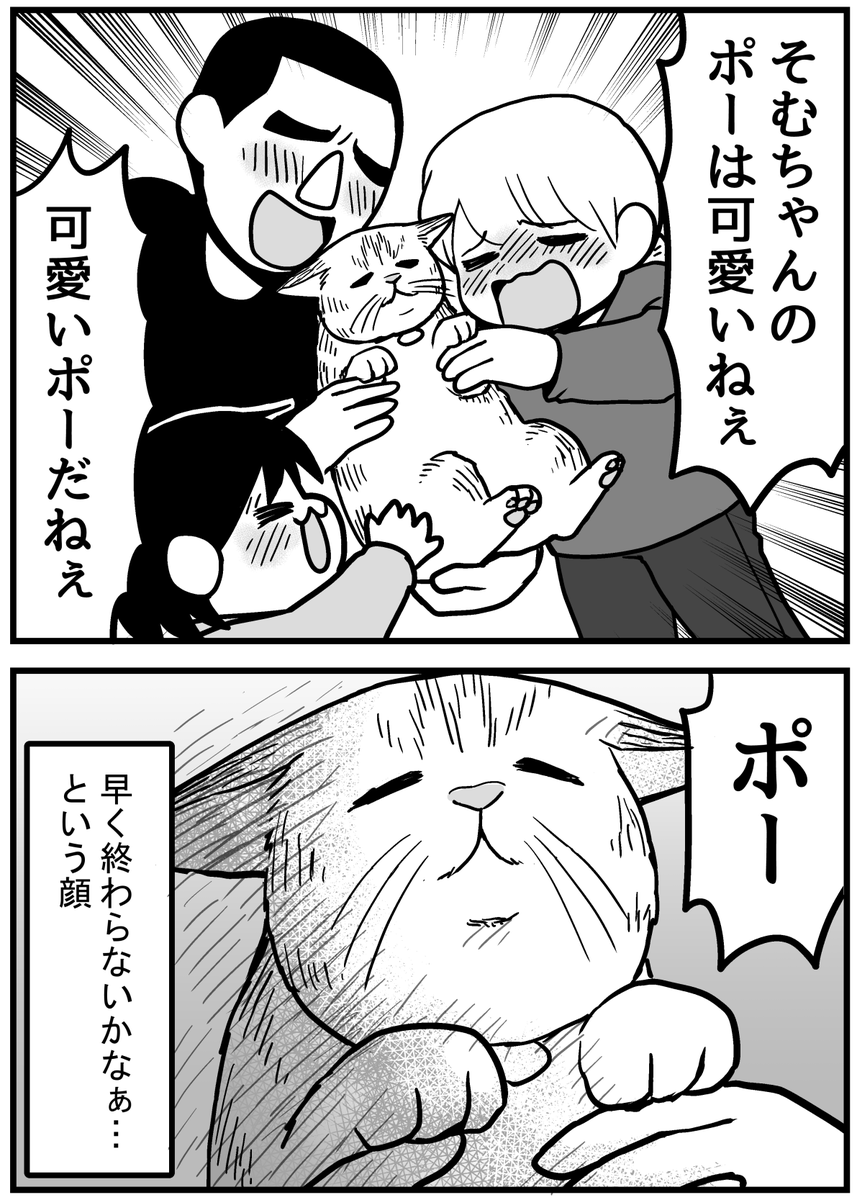 猫の「ポー」の部分 #タレ目猫そむが可愛すぎるんじゃ 