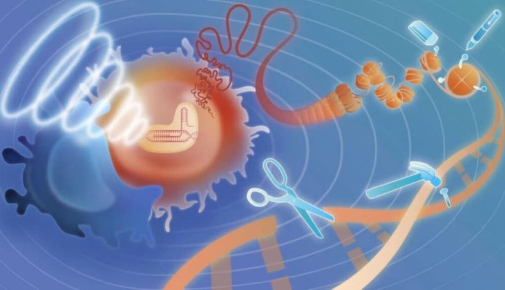 EVANVAERENBERGH's tweet image. #NBIC: LE CANCER SE PREPARE À MOURIR et homo amortalis se prépare à naître.

L’imagination infinie et humaniste de l’être humain nous ouvre de nouvelles portes concernant une révolution médicale grâce à une avancée majeure en ingénierie biomédicale. 

Des chercheurs de…