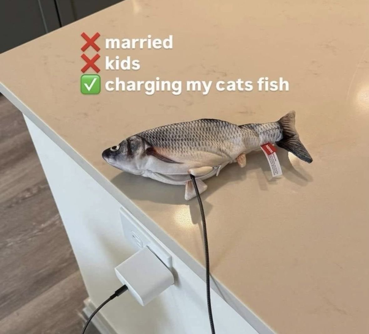 Punch Cat (@punchingcat) on Twitter photo 