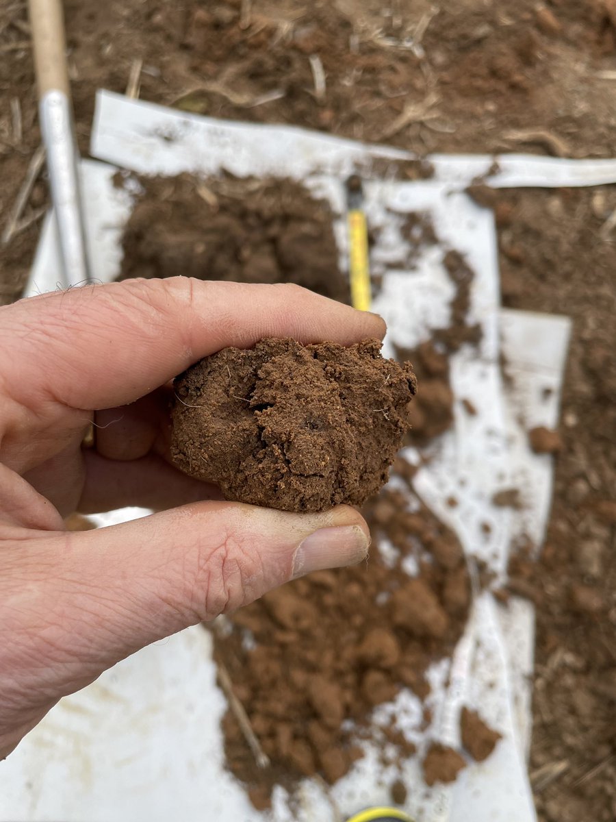 Visual Evaluation of Soil Structure:
- gently tease apart along lines of natural weakness to look for soil aggregate shape and size at different depths
- gently crush aggregates between finger and thumb to assess friability and density
#WorldSoilDay2024 #interpretsoil #vess