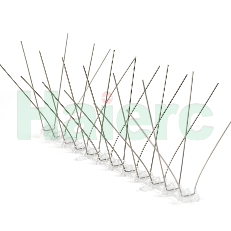 JessieZ83670824's tweet image. Low Priced Bird Spikes, in stock now. #bird #piegon #AllKindsOfBirds
website: pestcontrolitems.com

Contact me for more information 
📞 0086 15022371487 
📧 haierc008@haierc.com