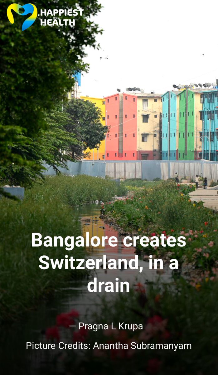 HHDigital1's tweet image. From plastic bottles and #garbage to beautiful flowers and a scenic bridge, the 12 km-long #Koramangala #SWD (rajakaluve) has received a much-needed makeover in the city. #Bengaluru #Bangalore 
happiesthealth.com/web-stories/ba…